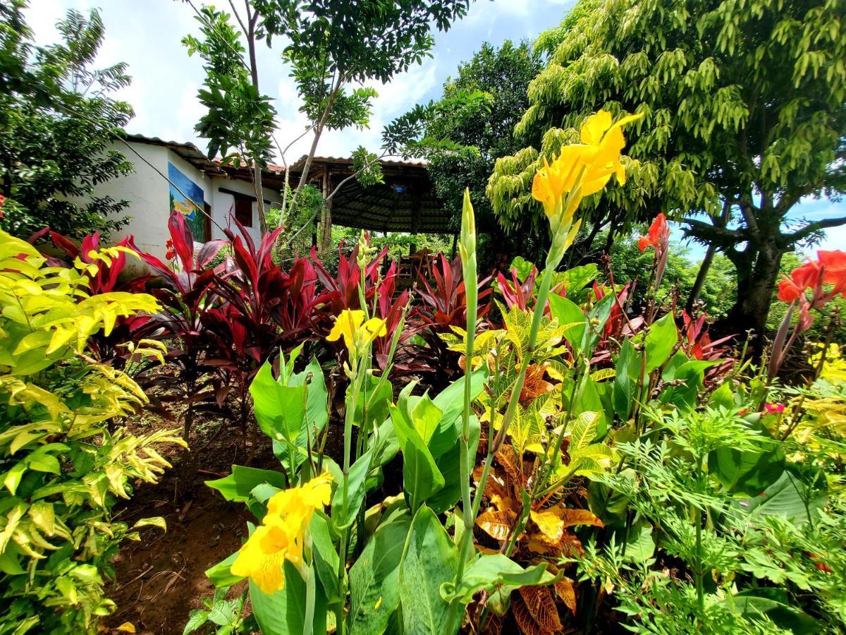 MéridaThe Jungle别墅 外观 照片