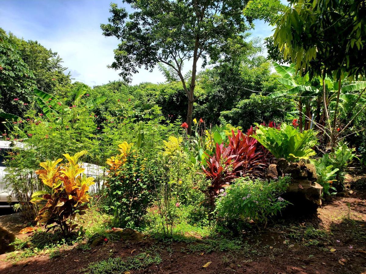 MéridaThe Jungle别墅 外观 照片