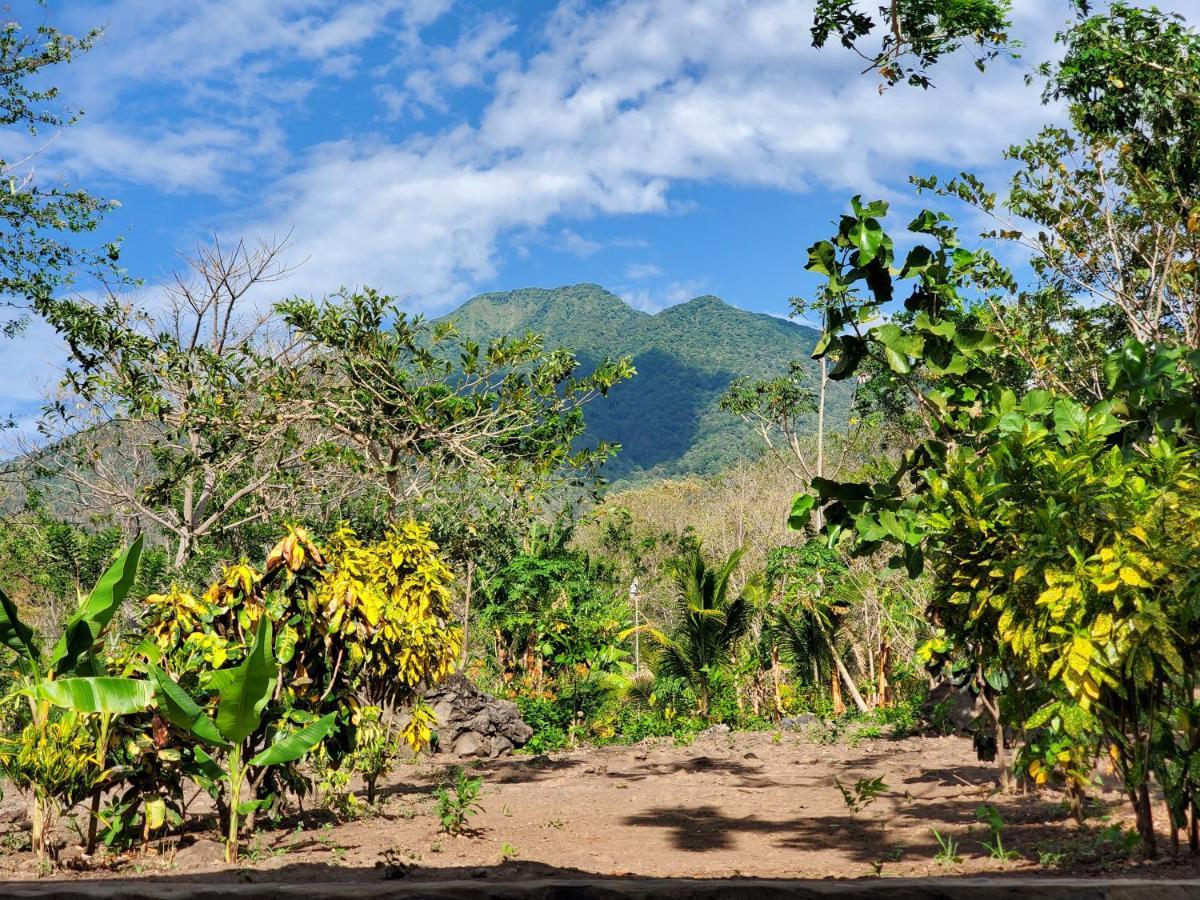 MéridaThe Jungle别墅 外观 照片