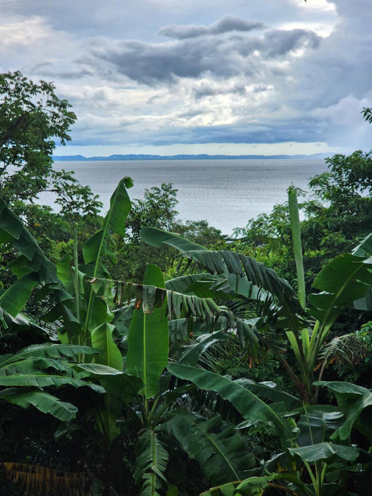 MéridaThe Jungle别墅 外观 照片